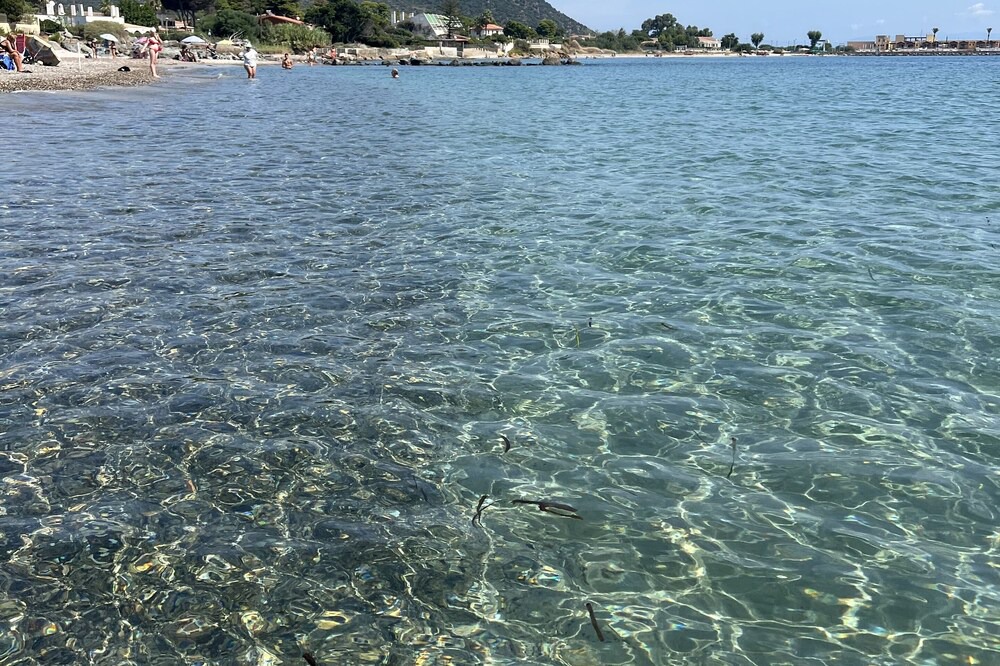 Photo of Others in Province of Cagliari
