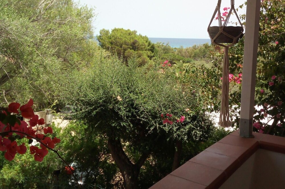 Photo of Others in Cala Sinzias