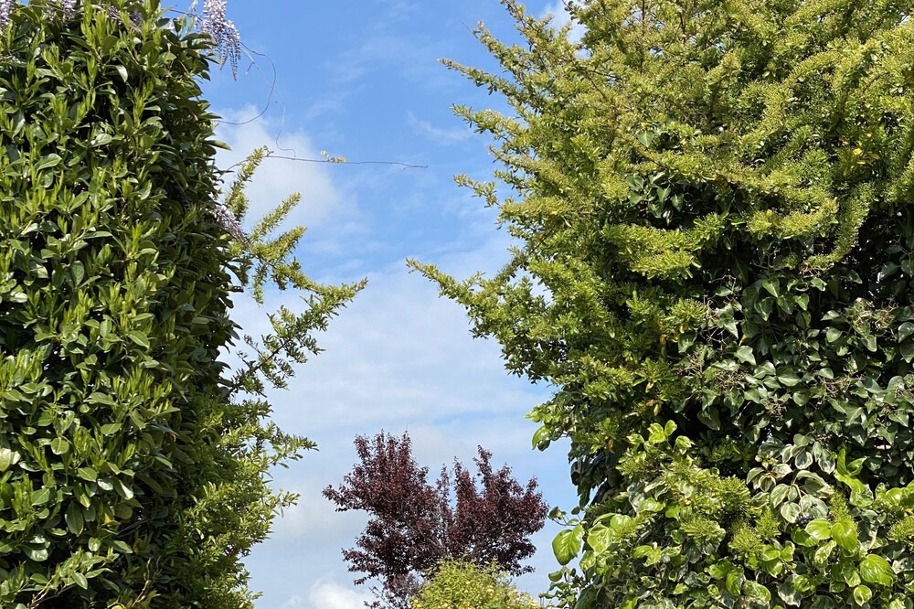Photo of Outdoor in Corinaldo