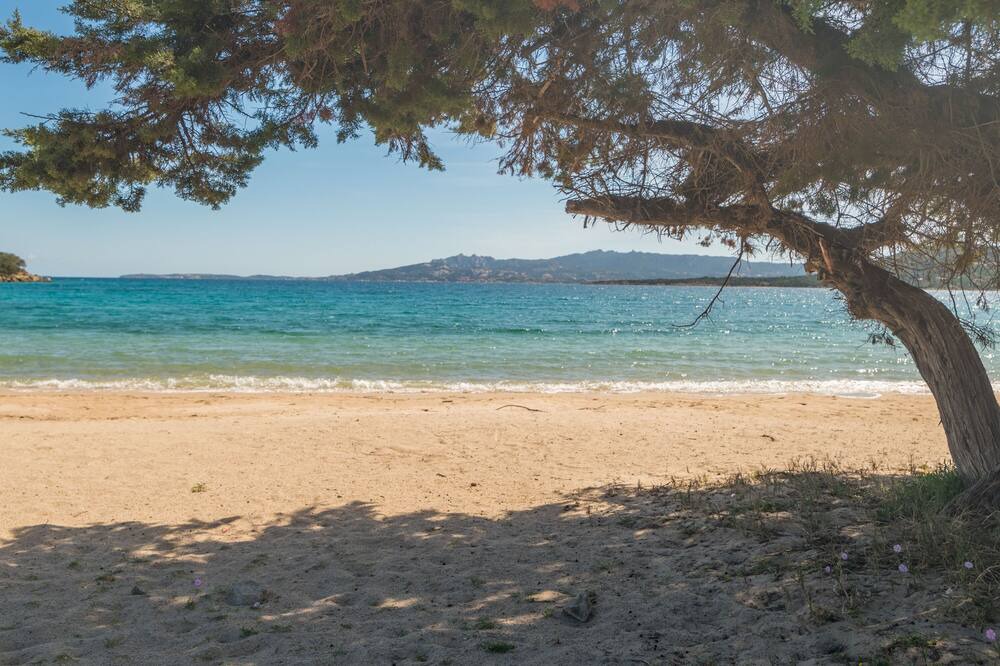 Photo of Others in Capo d'Orso