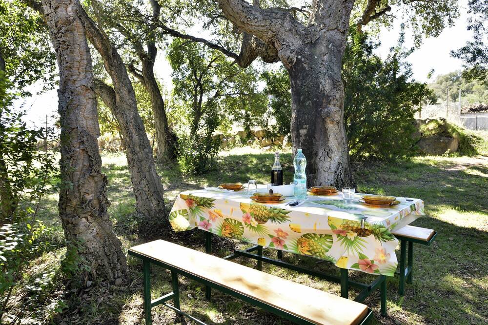 Photo of Outdoor in Elini