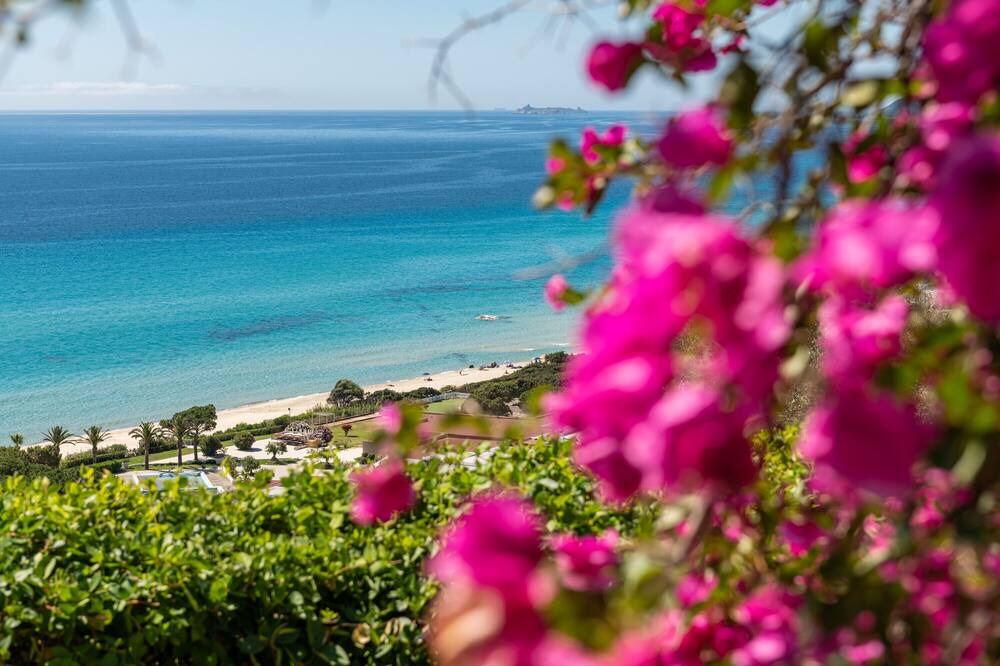 Photo of Outdoor in Elini