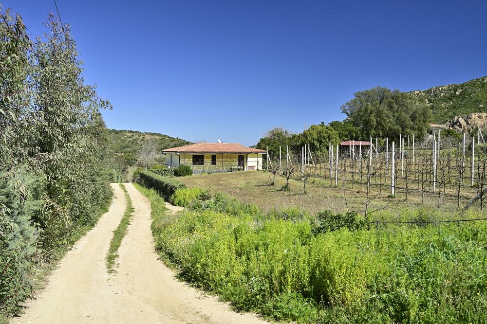 Photo of Outdoor in Elini