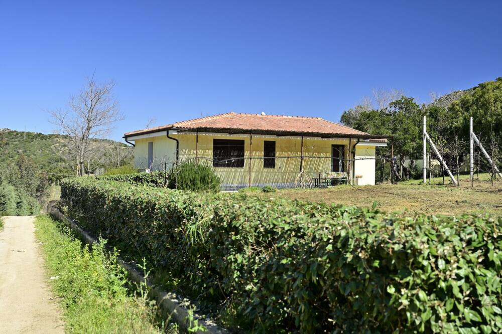 Photo of Outdoor in Elini