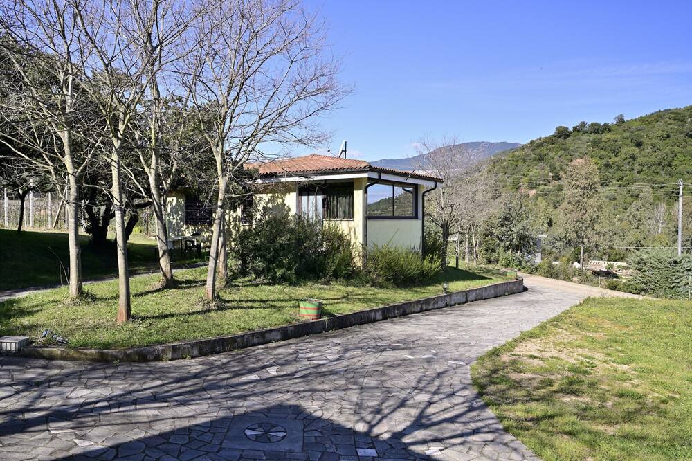 Photo of Outdoor in Elini