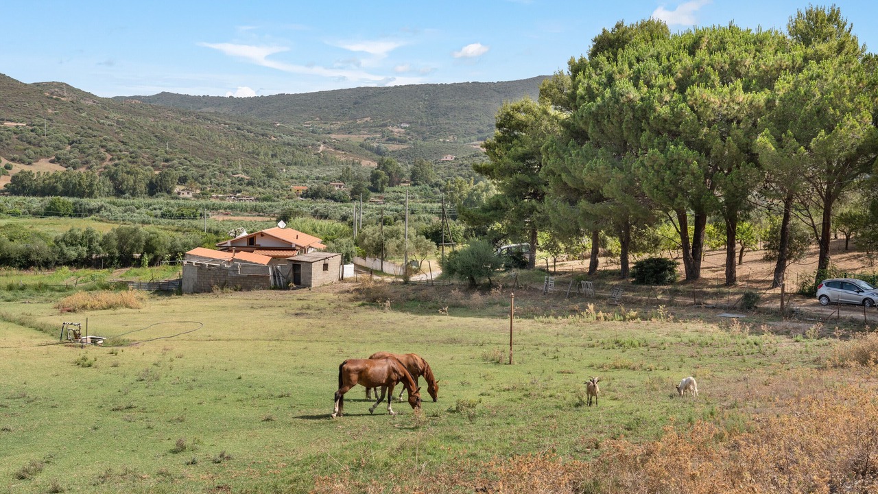 Photo of Outdoor in Buggerru