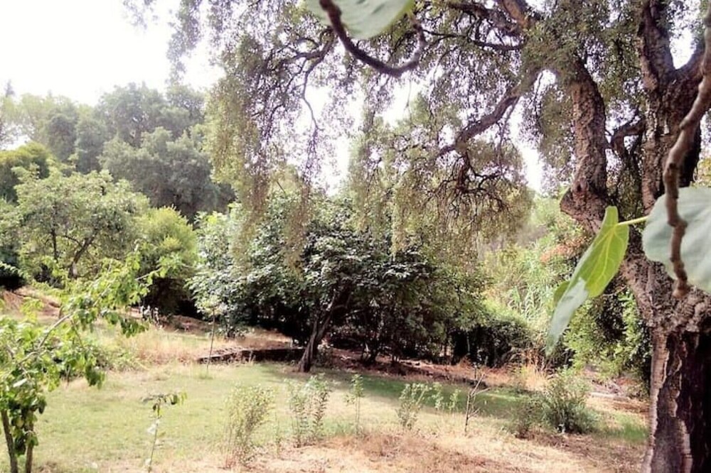 Photo of Outdoor in Villaggio delle Mimose