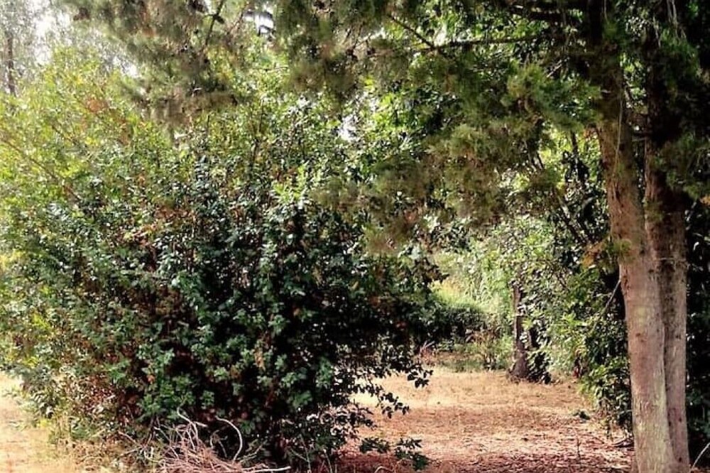 Photo of Outdoor in Villaggio delle Mimose