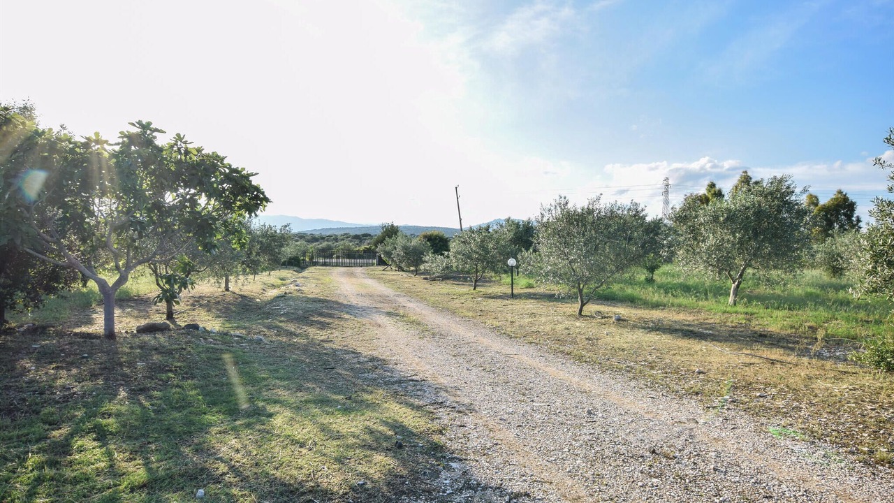 Photo of Outdoor in Orosei