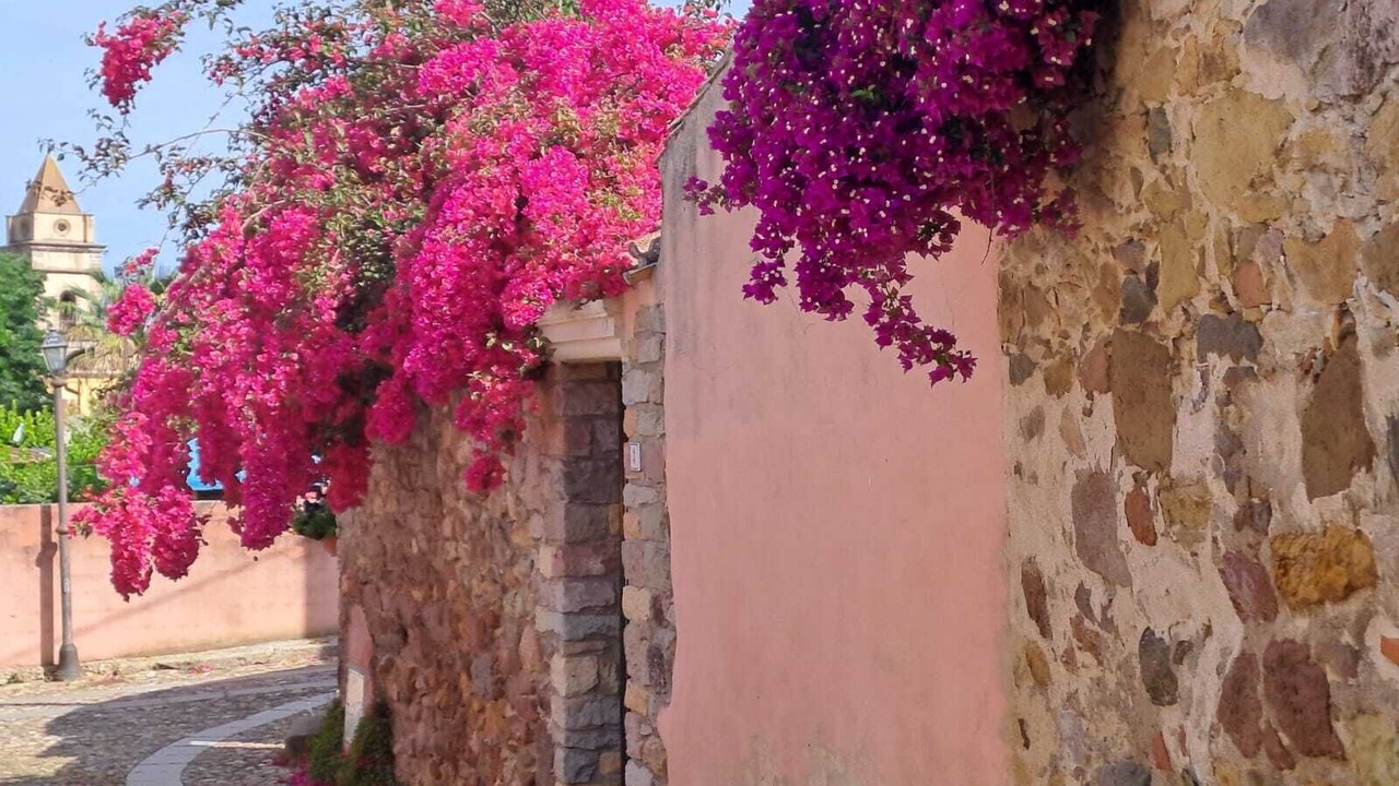 Photo of Outdoor in Nureci