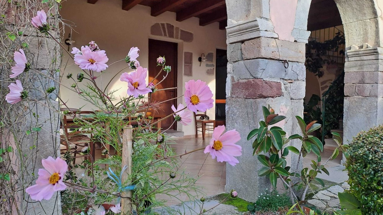Photo of Outdoor in Nureci