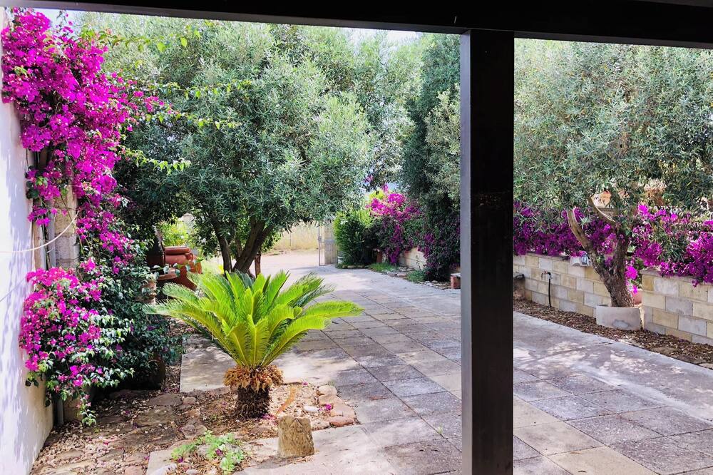 Photo of Outdoor in Sant'Anna Arresi