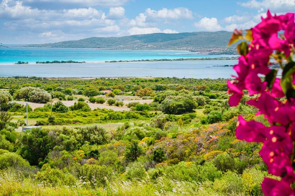 Photo of Others in San Teodoro