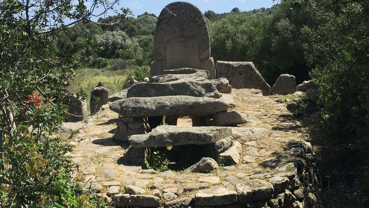 Photo of Others in Luogosanto