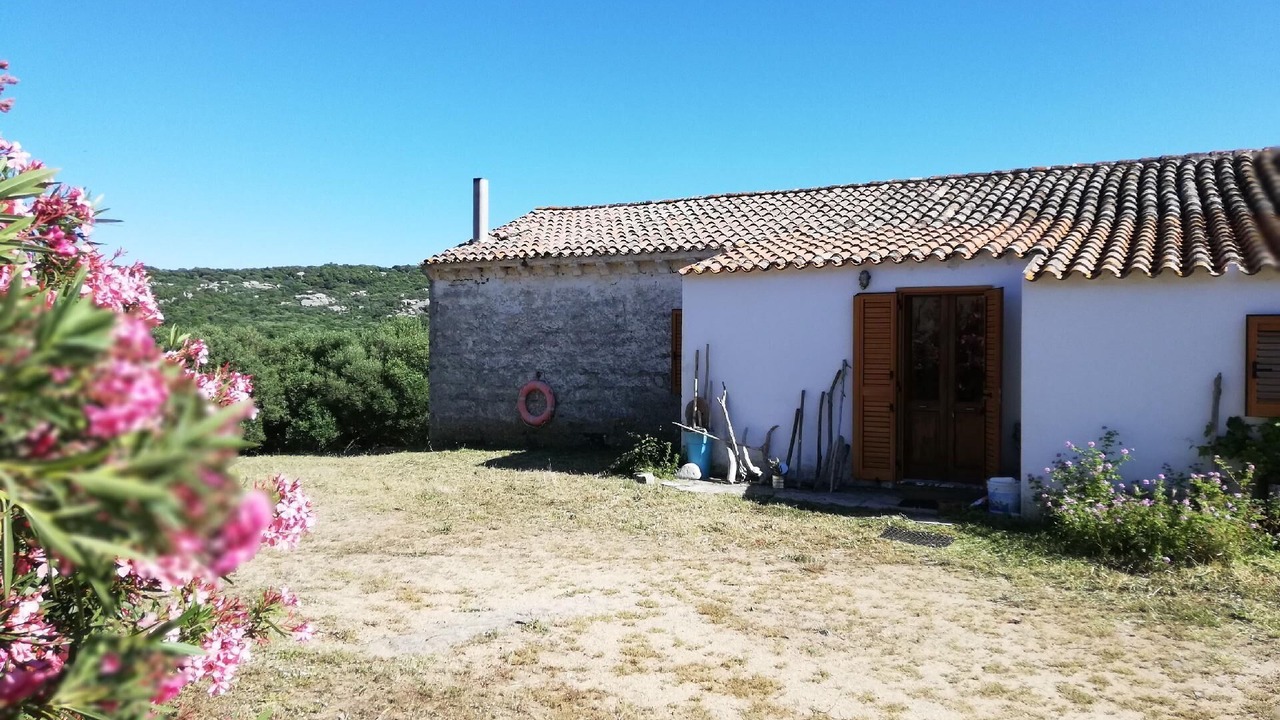 Photo of Outdoor in Luogosanto