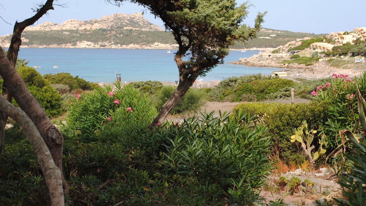Photo of Outdoor in Santa Reparata