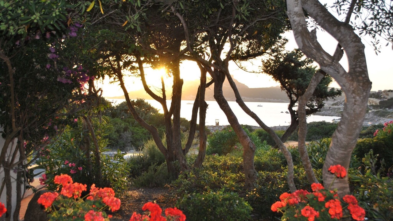 Photo of Outdoor in Santa Reparata