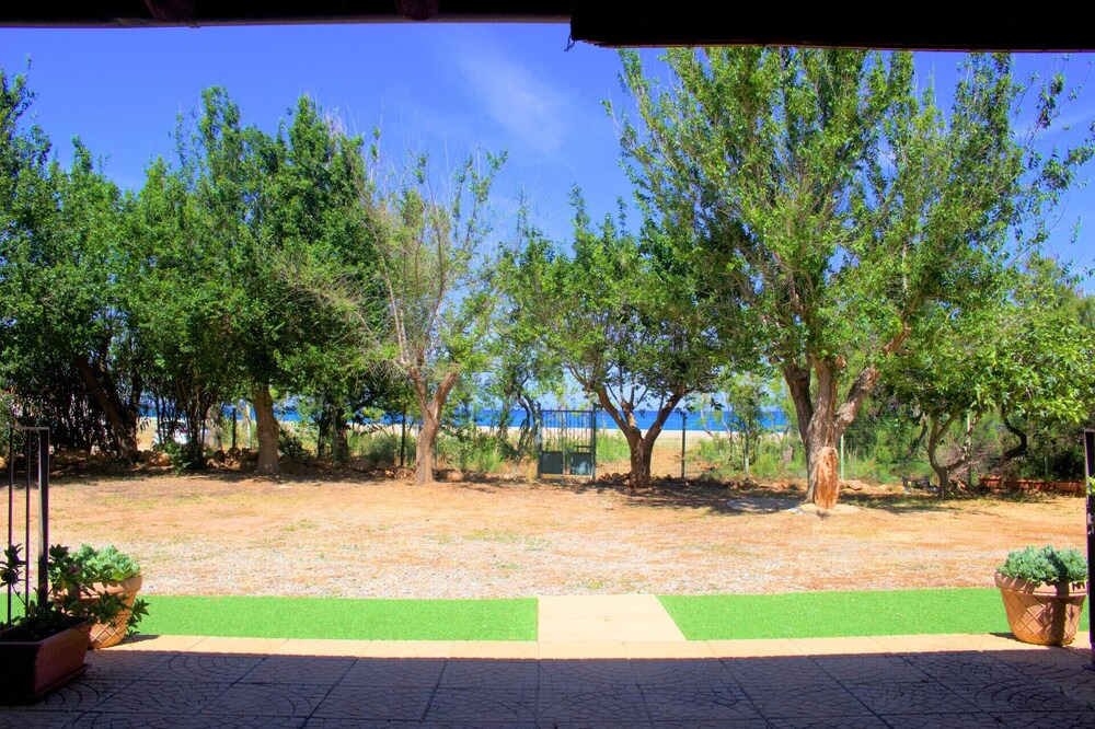 Photo of Outdoor in Perdepera