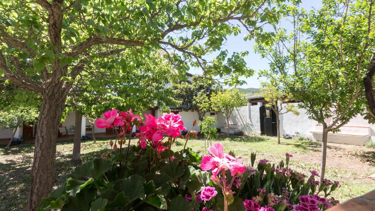 Photo of Outdoor in San Vito