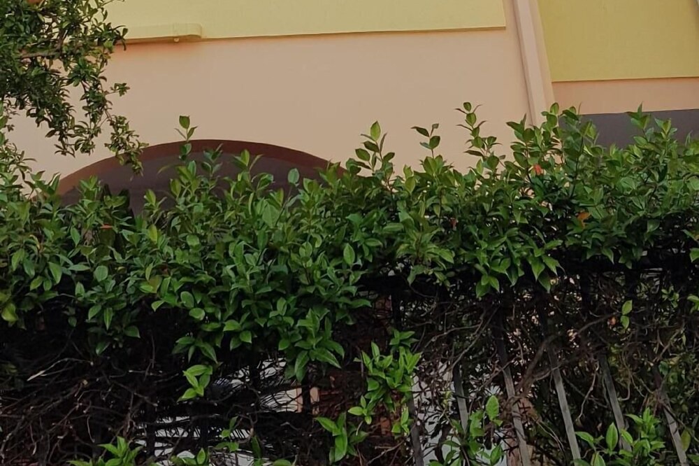 Photo of Outdoor in Villasimius