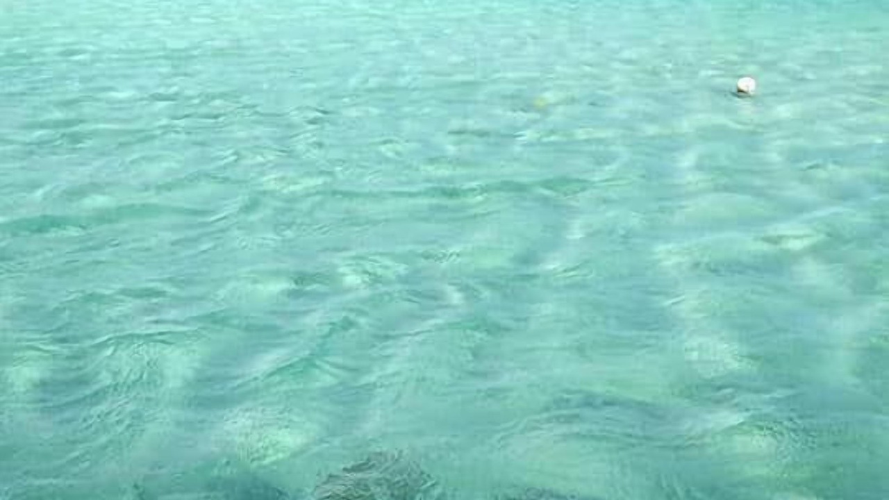 Photo of Others in Loiri Porto San Paolo