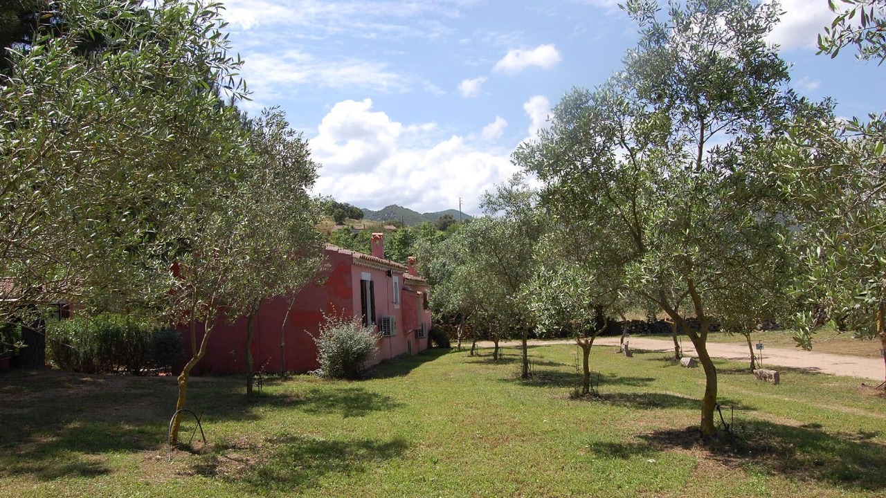 Photo of Outdoor in Loiri Porto San Paolo