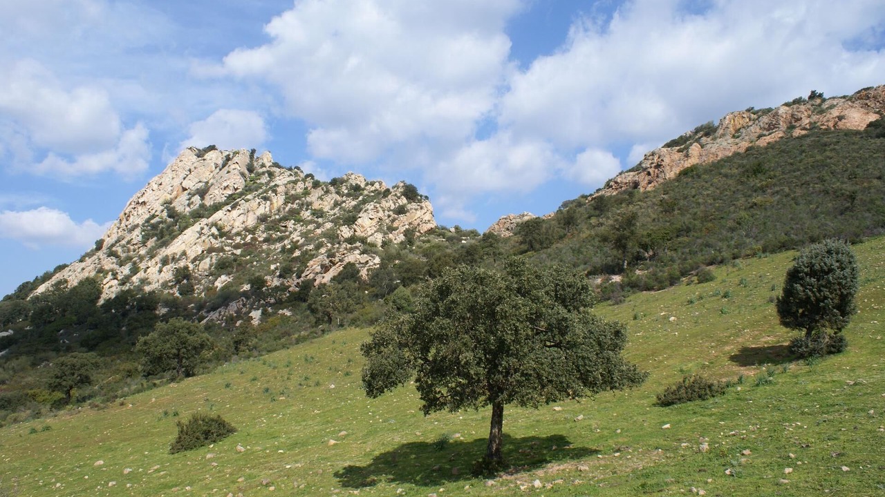 Photo of Others in Loiri Porto San Paolo