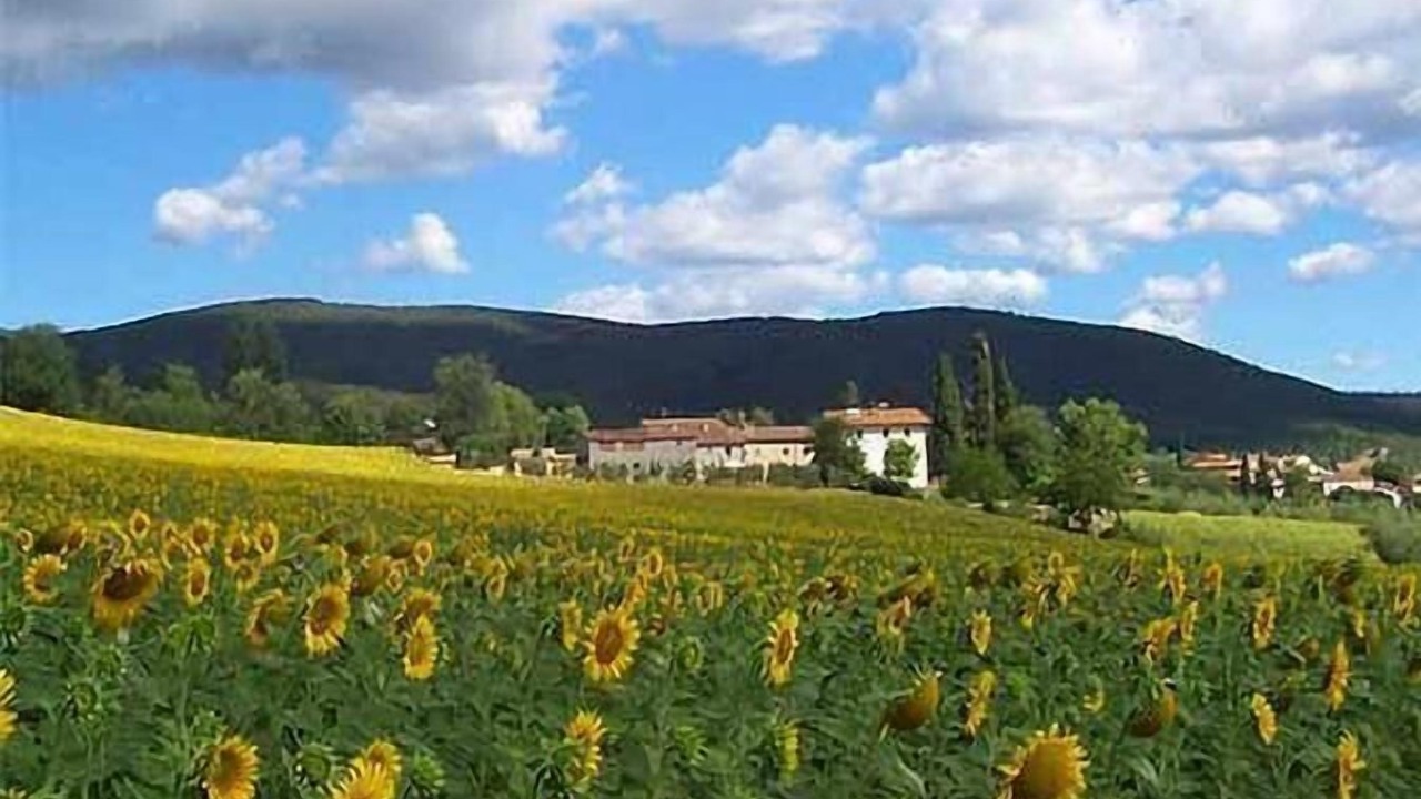 Photo of Others in Motina