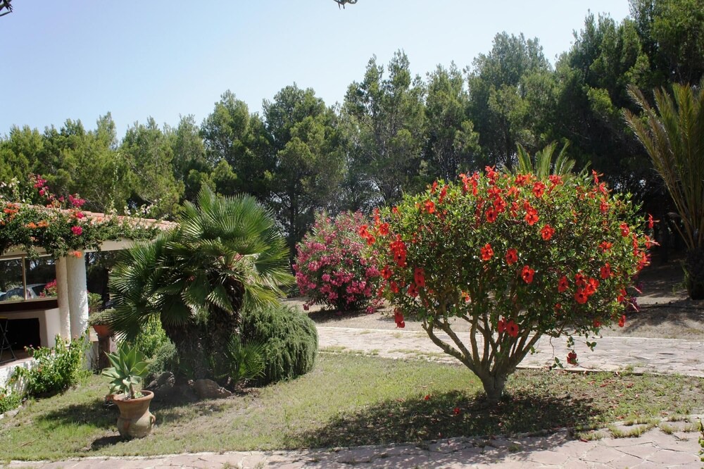 Photo of Outdoor in Calasetta