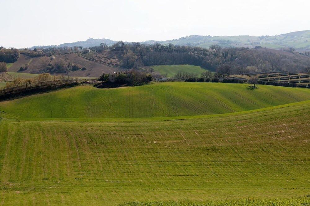 Photo of Others in Monte San Pietrangeli