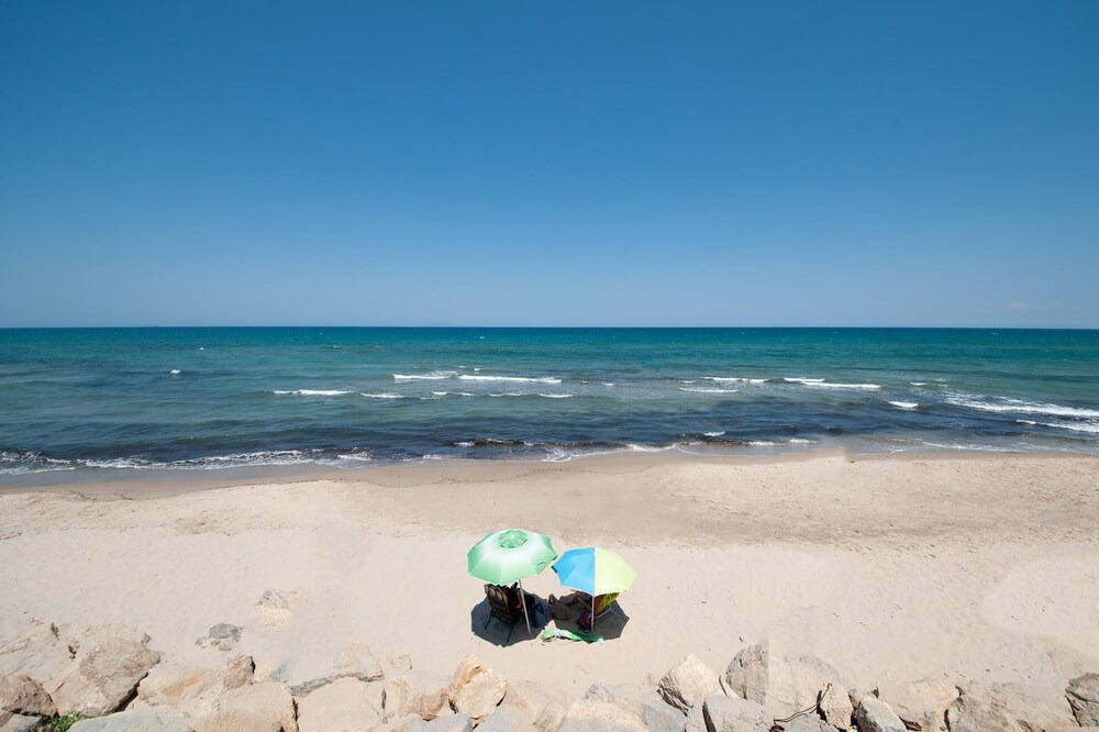Photo of Others in Eden Beach