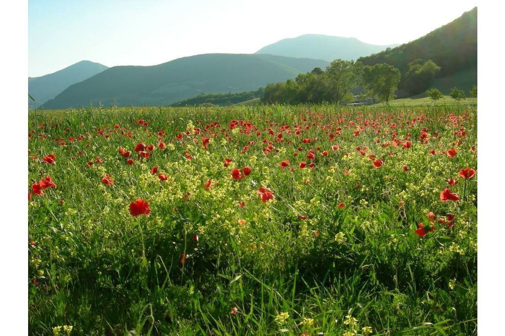 Photo of Outdoor in Camerino