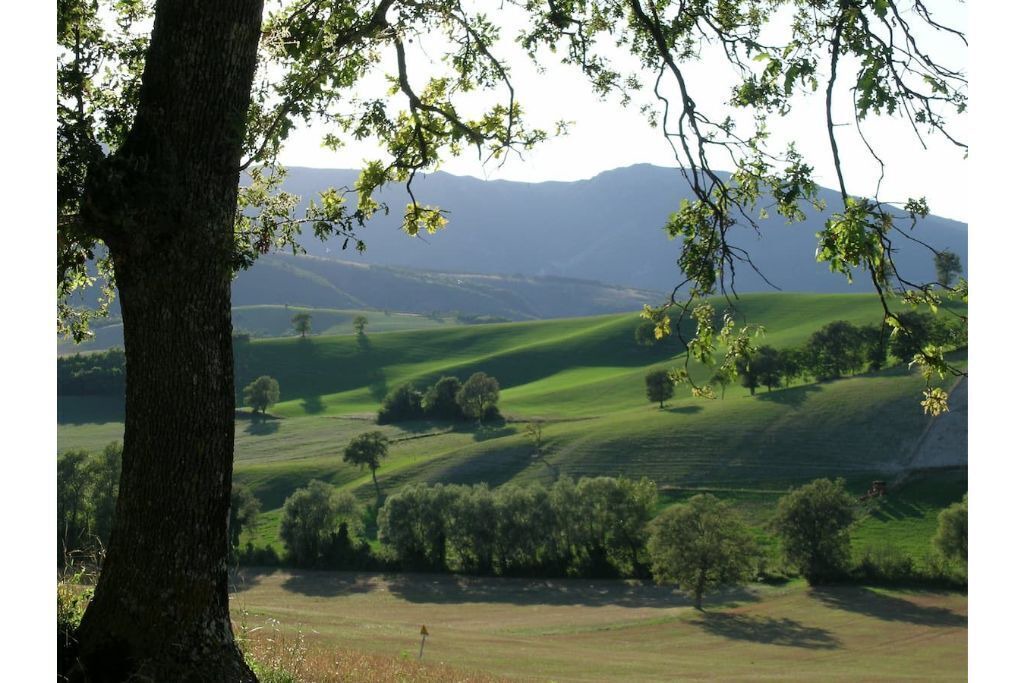 Photo of Others in Camerino