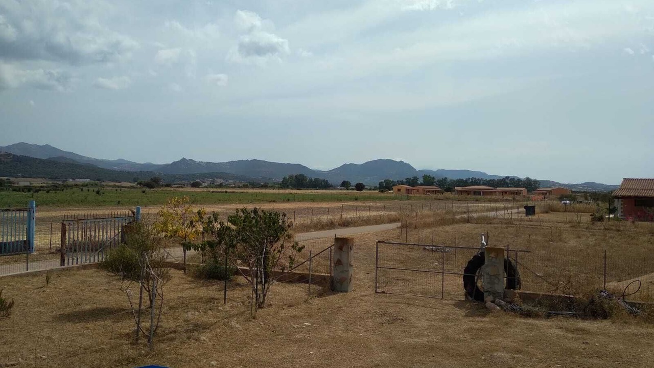 Photo of Others in Olbia