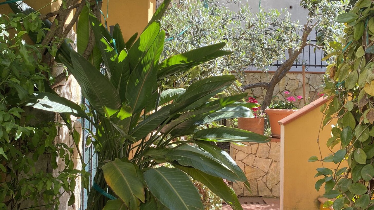 Photo of Outdoor in Urzulei