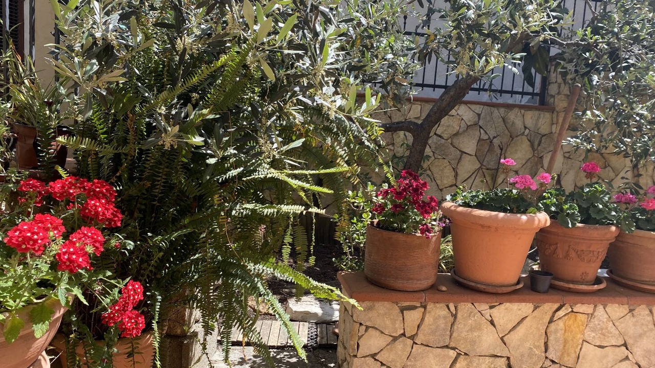 Photo of Outdoor in Urzulei