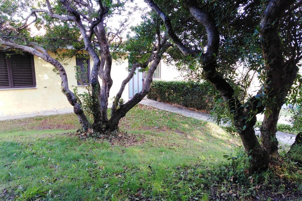 Photo of Outdoor in Elini