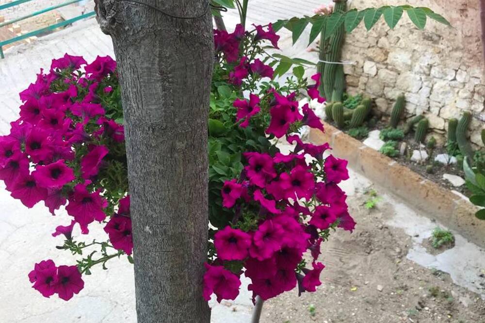 Photo of Outdoor in Montenero di Bisaccia