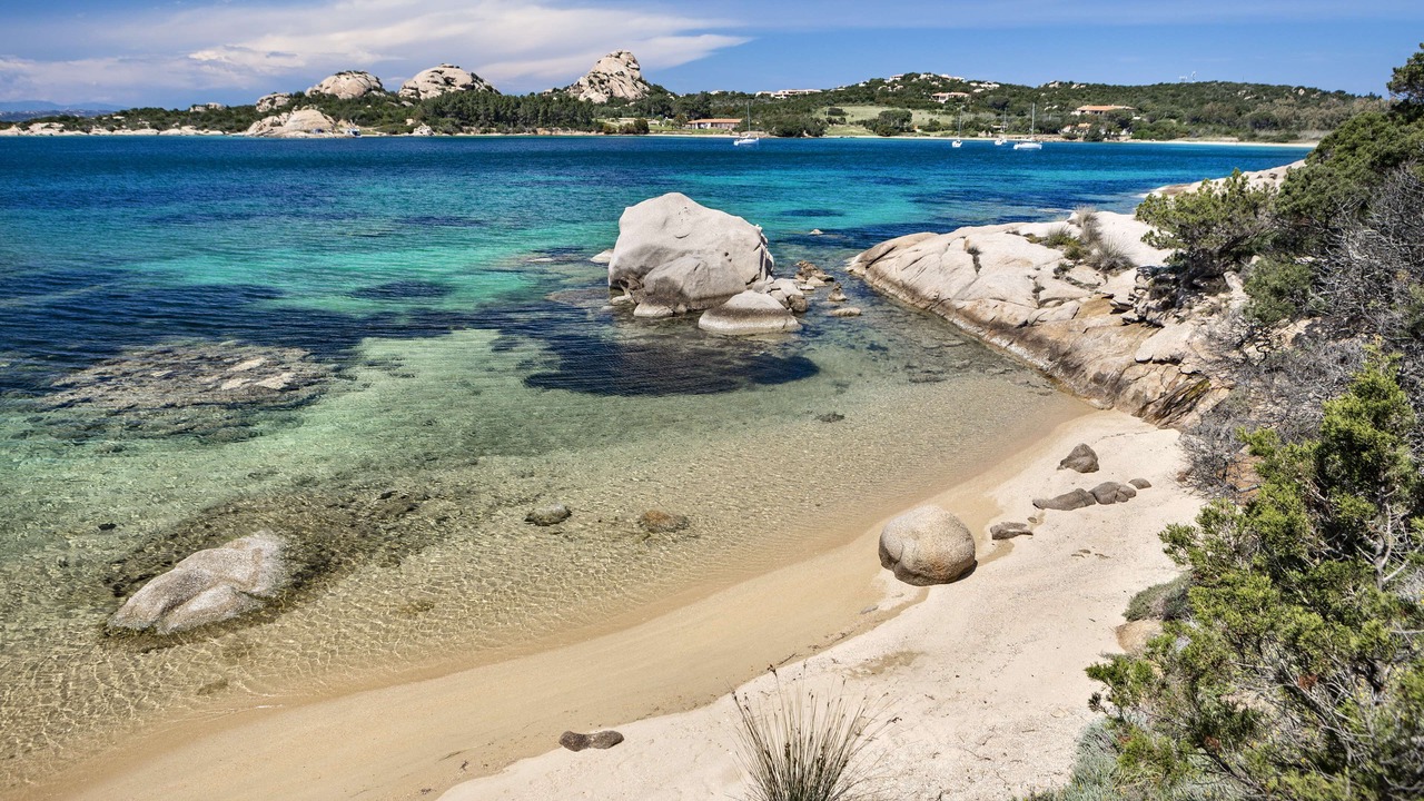 Photo of Others in Baja Sardinia