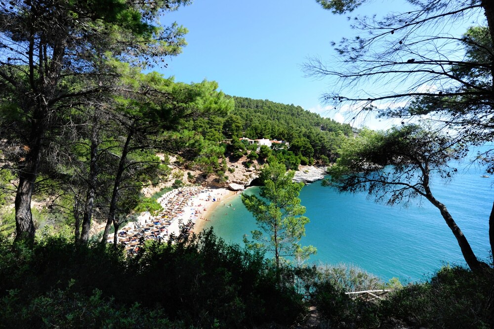 Photo of Others in Pugnochiuso