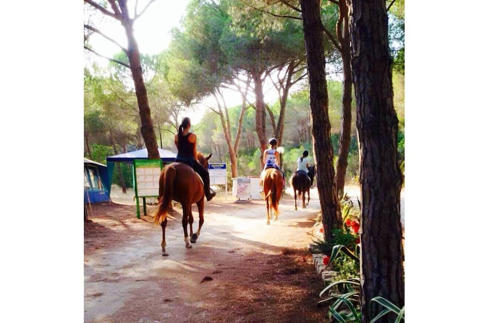 Photo of Outdoor in Narbolia