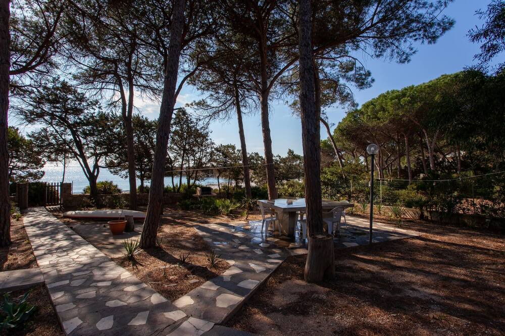 Photo of Outdoor in Cala Liberotto