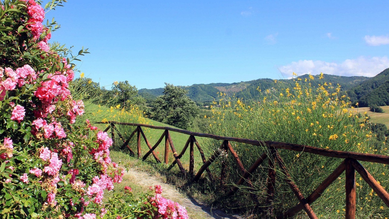 Photo of Outdoor in Pennabilli