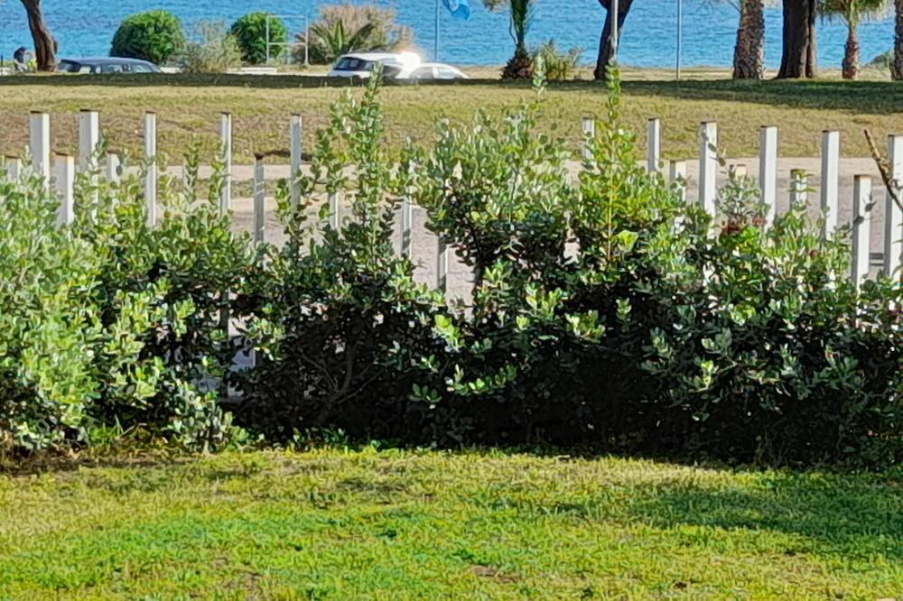 Photo of Outdoor in Arbatax