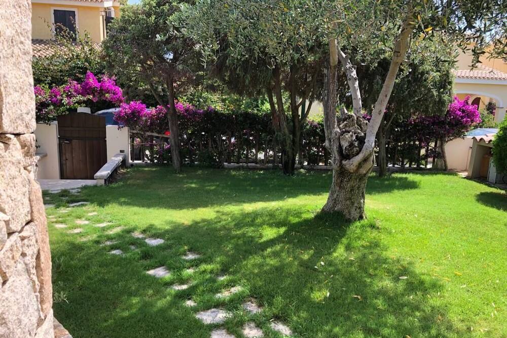 Photo of Outdoor in Campulongu