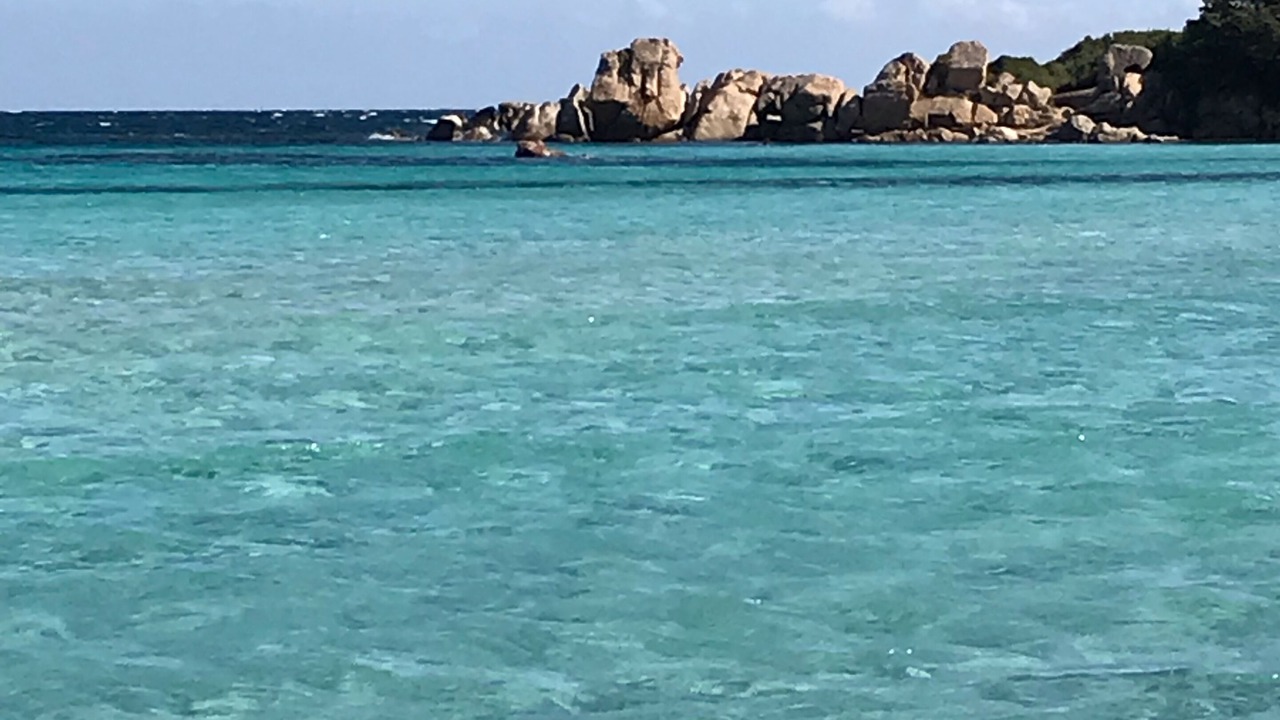 Photo of Others in Buddittogliu Straulas