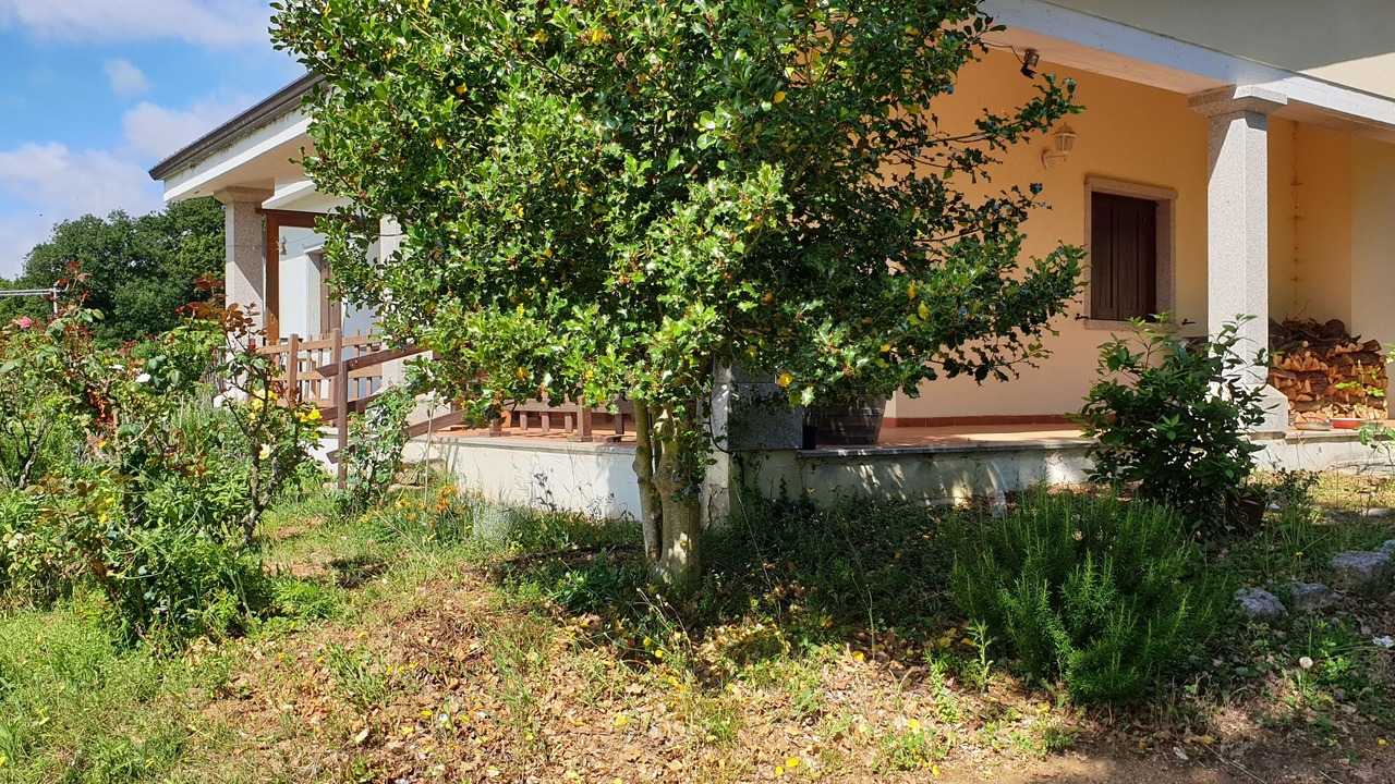 Photo of Outdoor in Tempio Pausania