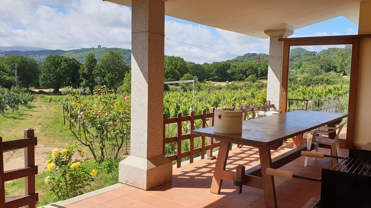 Photo of Outdoor in Tempio Pausania