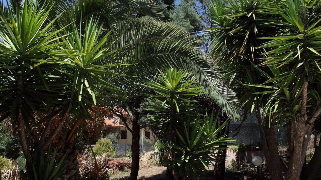 Photo of Outdoor in Barumini