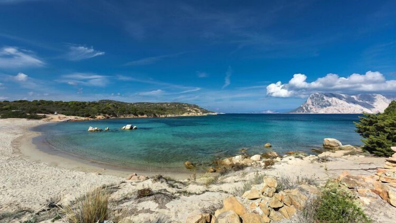Photo of Others in San Teodoro